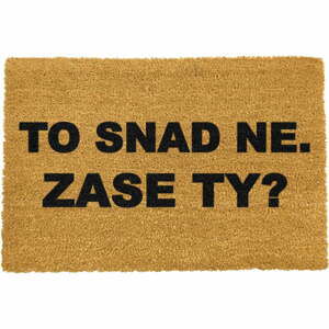 Rohožka z přírodního kokosového vlákna Artsy Doormats Zase ty?, 40 x 60 cm